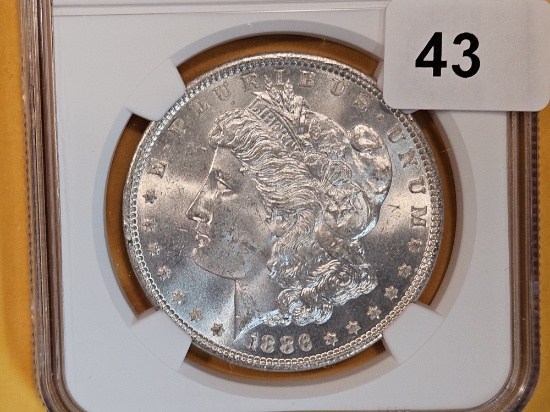 NGC 1886 Morgan Dollar in Mint State 63