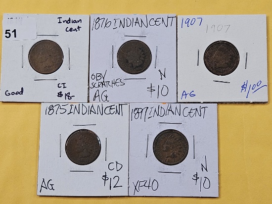Five Indian Head Cents