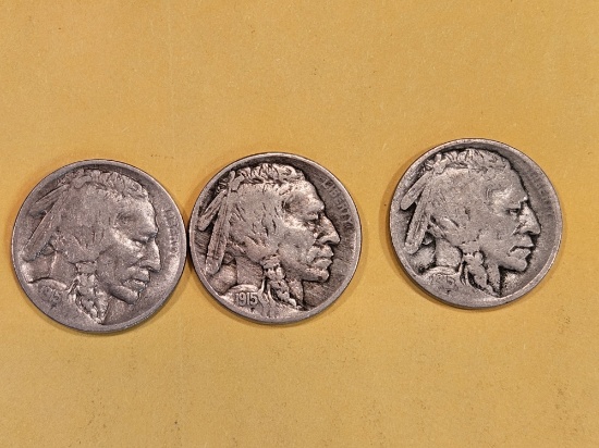 1915 P-D-S Trio of Buffalo Nickels