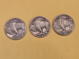 FULL Roll of 1938-D Buffalo Nickels