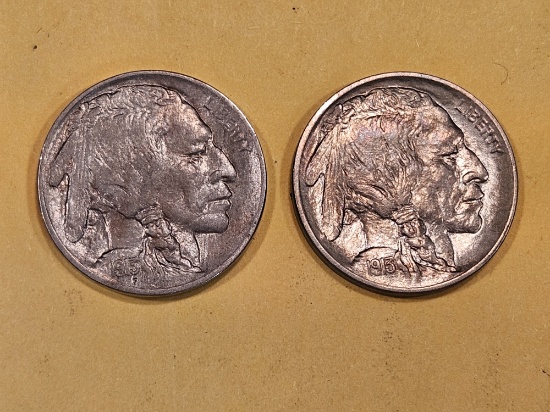 Two Buffalo Nickels in Bright About Uncirculated - 58