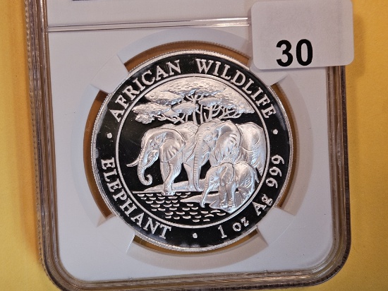 PERFECT! NGC 2013 Somalia Silver 100 Shillings in Mint State 70