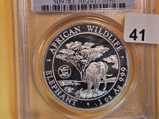 PERFECT! PCGS 2012 Somali Republic silver 100 shillings in Mint State 70