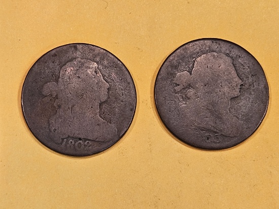 1802 and 1803 Draped Bust Large Cents