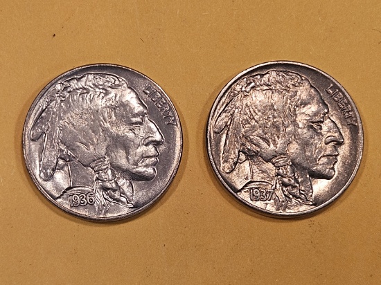 Two Brilliant Uncirculated Buffalo Nickels