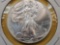 GEM Brilliant Uncirculated 2009 American Silver Eagle