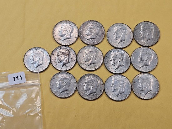 Thirteen 1966-1969 Kennedy Silver Half Dollars