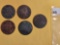 Five Draped Bust Large Cents