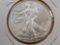 GEM Brilliant Uncirculated 2013 American Silver Eagle