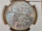 NGC 1900 Morgan Silver Dollar in Mint State 63