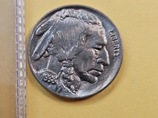 1938-D Buffalo Nickel in GEM Brilliant Uncirculated