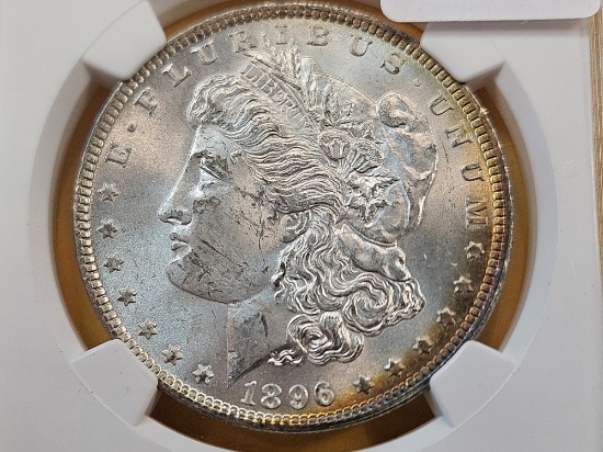NGC 1896 Morgan Silver Dollar in Mint State 63