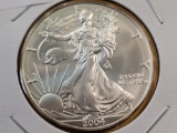 GEM Brilliant Uncirculated 2004 American Silver Eagle