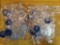 TWENTY Mixed Brilliant Uncirculated SILVER Blue IKES