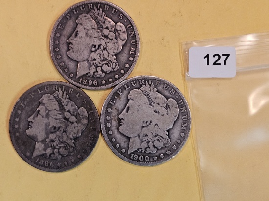 Three mixed Morgan Silver Dollars