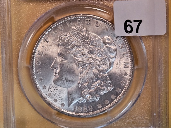 PCGS 1889 Morgan Dollar in Mint State 63