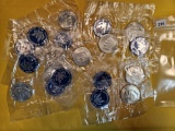 Ten Mixed Brilliant Uncirculated SILVER Blue IKES