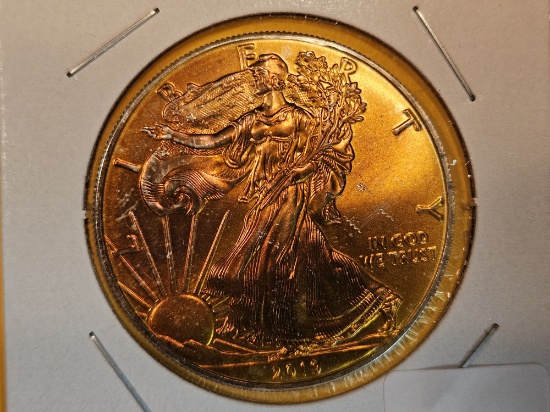 GEM Brilliant Uncirculated 2019 American Silver Eagle