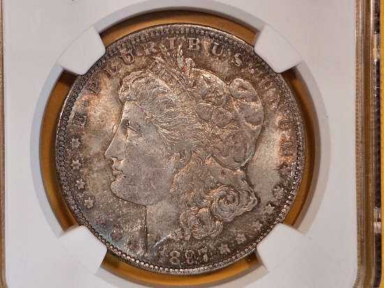 NGC 1897 Morgan Dollar in Mint State 63
