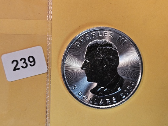 GEM Brilliant Uncirculated 2024 Canada Silver 5 dollars