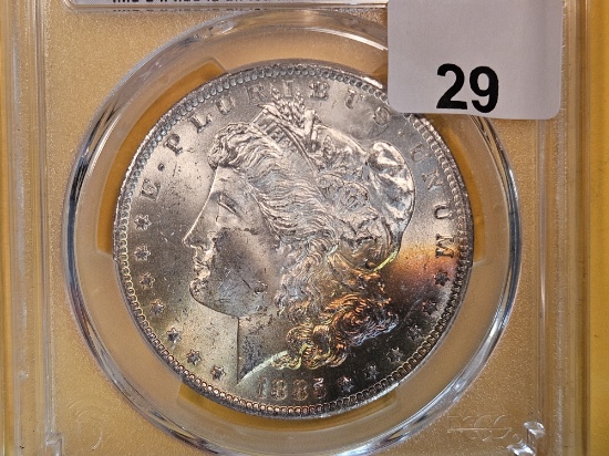 PCGS 1885-O Morgan Dollar in Mint State 64