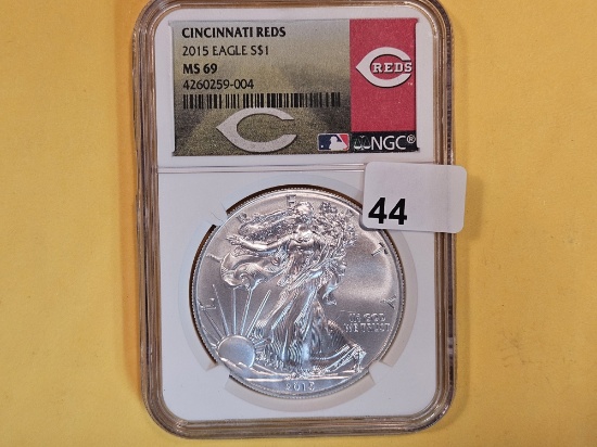 NGC 2015 American Silver Eagle in Mint State 69