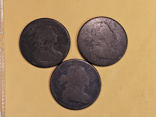 Three Draped Bust Large Cents