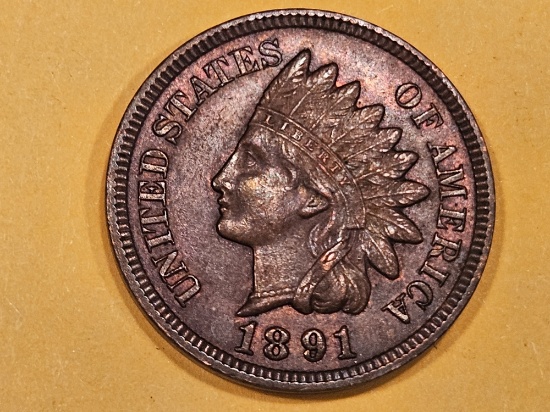Choice Brilliant Uncirculated Brown 1891 Indian Cent