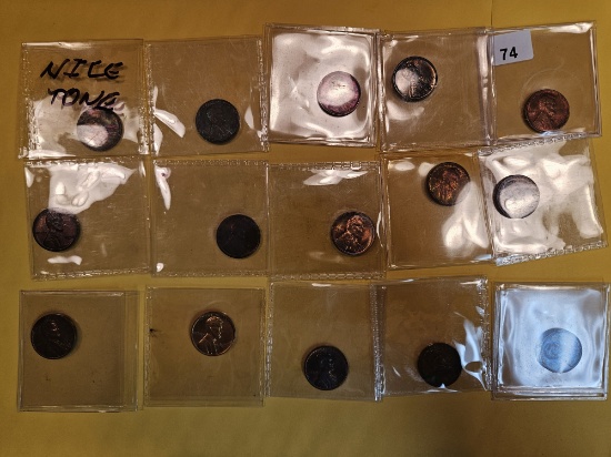 Fifteen Toned Wheat cents