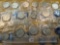 Twenty Brilliant Uncirculated Eisenhower Silver Dollars
