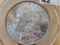 CAC 1884 Morgan Silver Dollar in Uncirculated -details