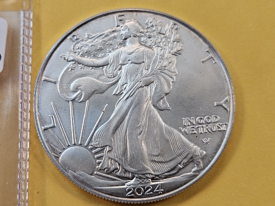 Brilliant Uncirculated 2024 American Silver Eagle