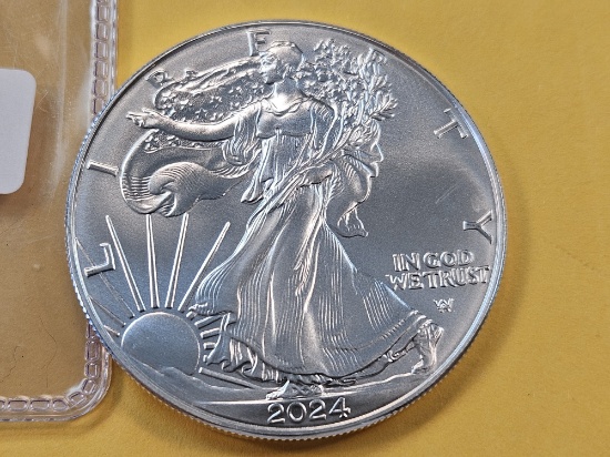 Brilliant Uncirculated 2024 American Silver Eagle