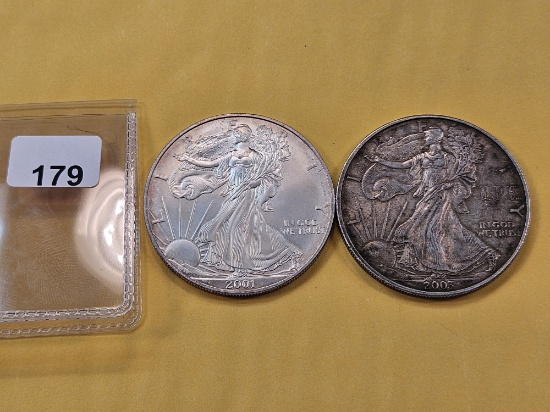 Two Toned American Silver Eagles