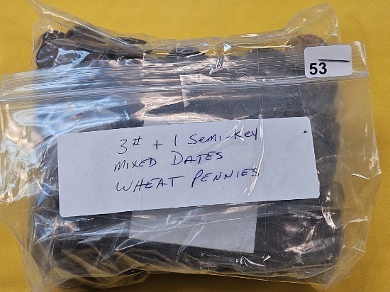 Three Pounds of Circulated Wheat Cents with a Semi Key Date