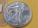 Brilliant Uncirculated 2024 American Silver Eagle