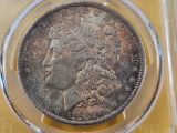 PCGS 1889 Morgan Silver Dollar in Mint State 63