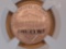PERFECT! NGC 2017-S Lincoln Cent in Specimen 70 RED Enhanced Finish