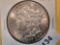 Choice Brilliant Uncirculated Plus 1896 Morgan Dollar