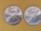Two GEM Brilliant Uncirculated American Silver Eagles