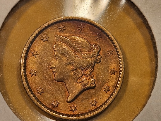 GOLD! Brilliant About Uncirculated Plus 1851 Gold Dollar