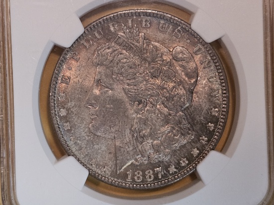 NGC 1887 Morgan Dollar in Mint State 64