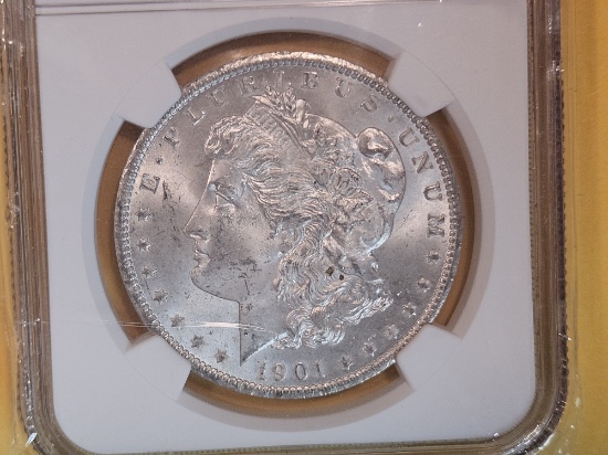 NGC 1901-O Morgan Dollar in Mint State 64
