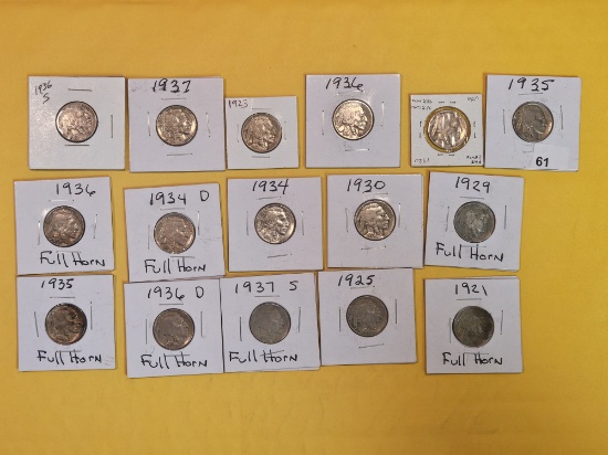 Sixteen mixed Buffalo Nickels