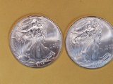 Two GEM Brilliant Uncirculated American Silver Eagles