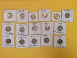 Sixteen mixed Buffalo Nickels
