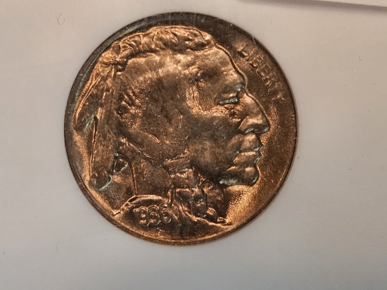 GEM! NGC 1936-D Buffalo Nickel in Mint State 65