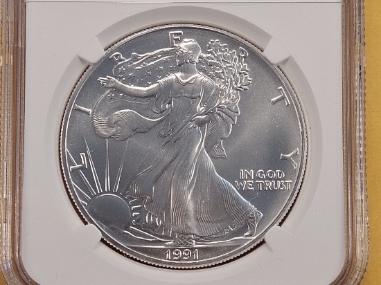 NGC 1991 American Silver Eagle in Mint State 69