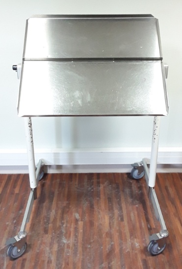 Surgical Stainless Steel Swivel Table