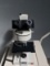Leitz SM-LUX Microscope